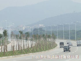 東莞環(huán)湖路道路照明工程